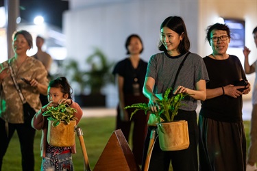 The Plants