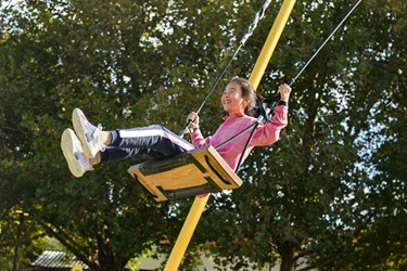 SWING