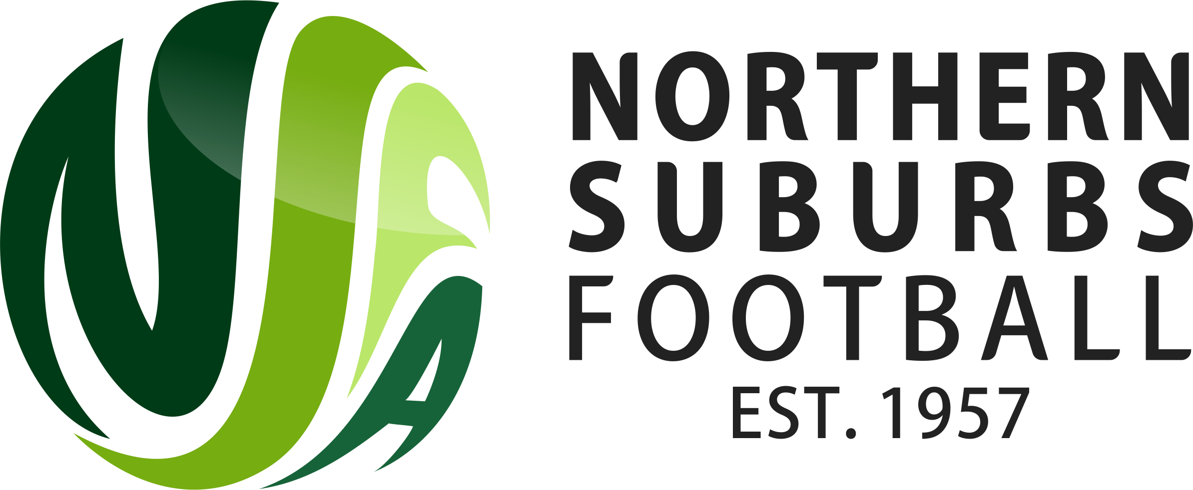 Logo - NSFA Colour.png