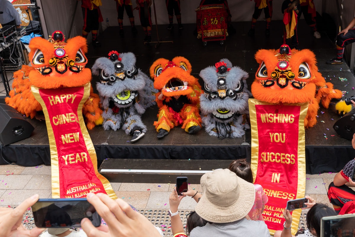 Lunar New Year Celebration Day 2025 Chatswood Year of the Dragon Festival