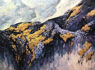 Fangmin Wu, 花岩7号 