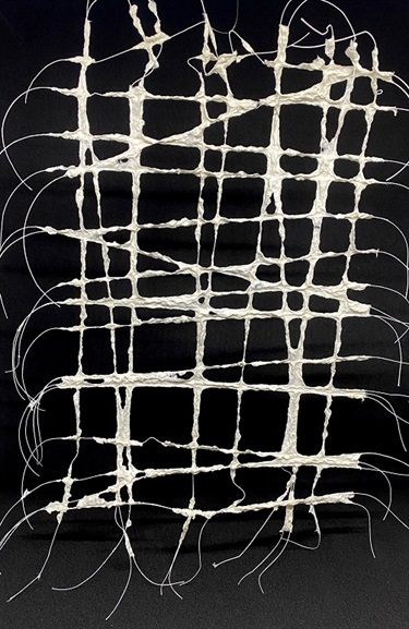 Shamim Cachalia, 