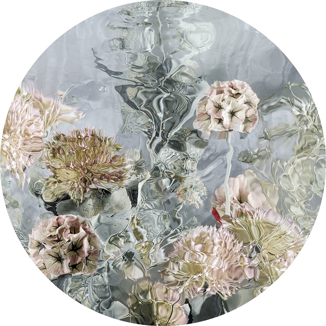 3_Janet-Tavener_Submerged-III_2023_Digital-print-on-Baryta-Prestige_48x48cm-copy_THUMB.jpg