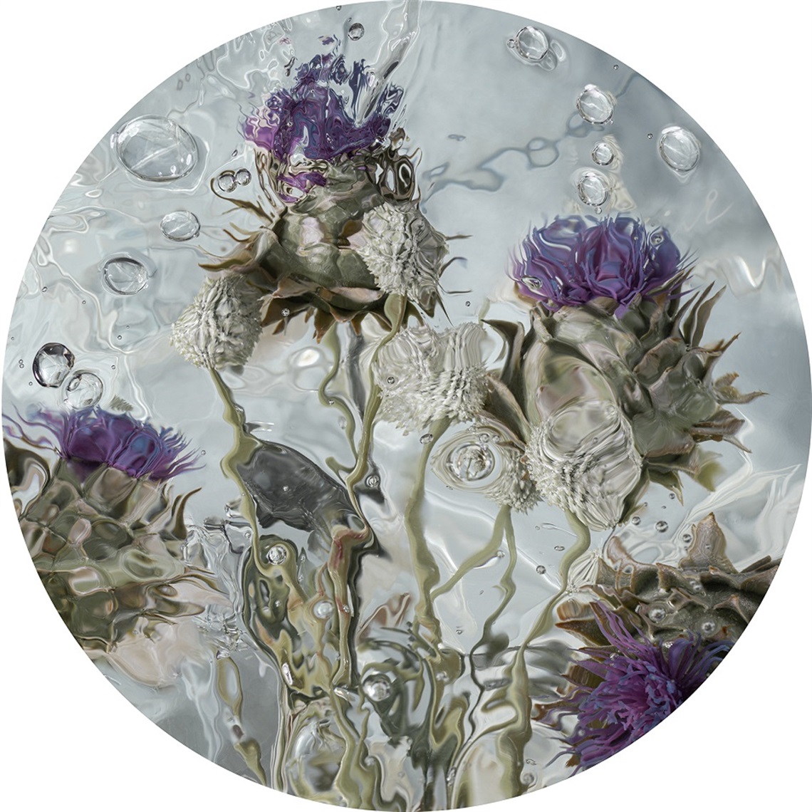 Janet-Tavener_Submerged-I_2023_Digital-print-on-Baryta-Prestige_48x48cm_THUMB.jpg