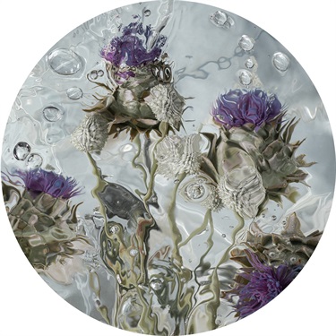 Janet Tavener, 