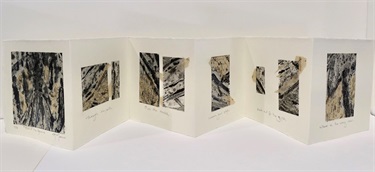 Terese McManus, 