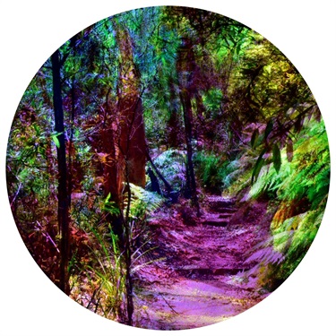Adrienne Hunt, 'Portal Between Mystery and Reality 1', 2024, Chromaluxe aluminium photographic print