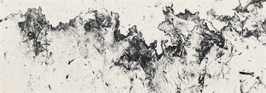Jenny Pollak, A line in the sand (detail), 2022, digital photograph