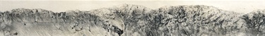 Jenny Pollak, How to lose a whole forest (detail), 20222023, a series of digital photographs (detail)