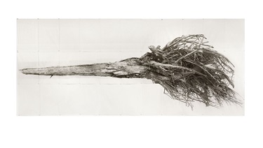 Jenny Pollak - Litmus II, 2022, digital photograph