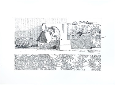 Jo_Still-Life-01.jpg