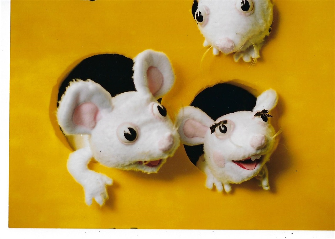 mice x3  100518.jpg