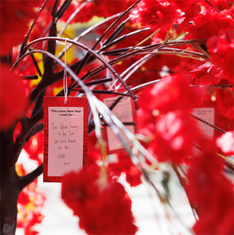 Screenshot 2026-02-10 130224.png